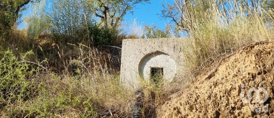 Land of 6,327 m² in Tivissa (43746)