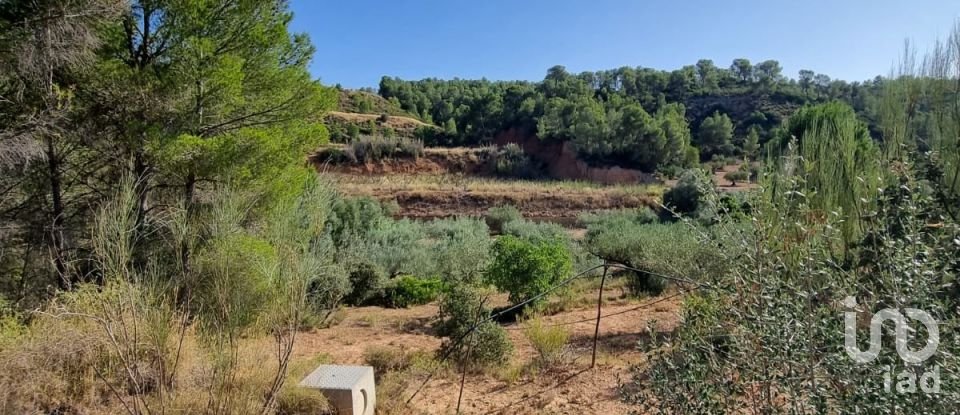 Land of 6,327 m² in Tivissa (43746)