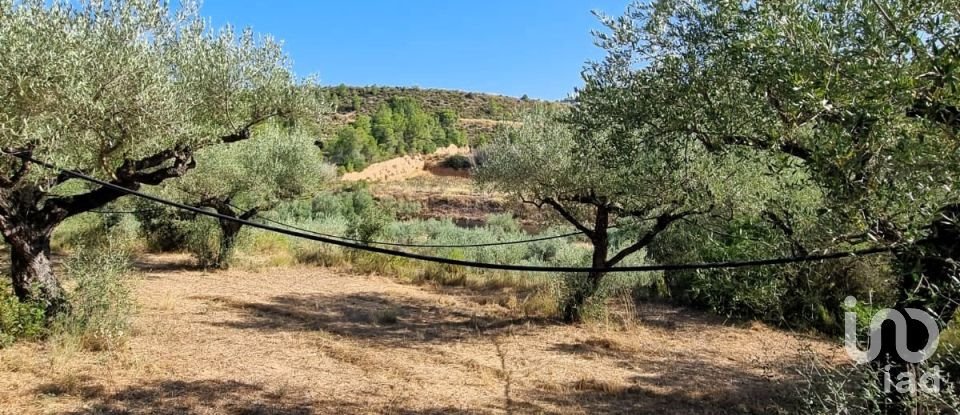 Land of 6,327 m² in Tivissa (43746)
