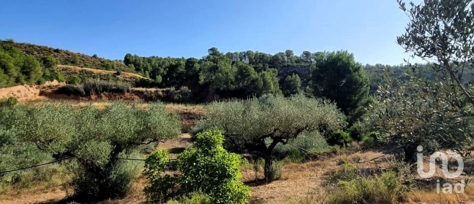 Land of 6,327 m² in Tivissa (43746)