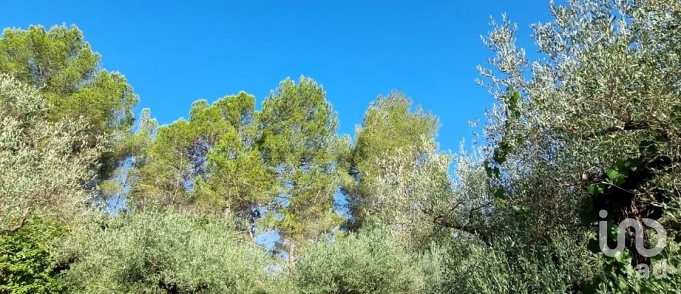 Land of 6,327 m² in Tivissa (43746)
