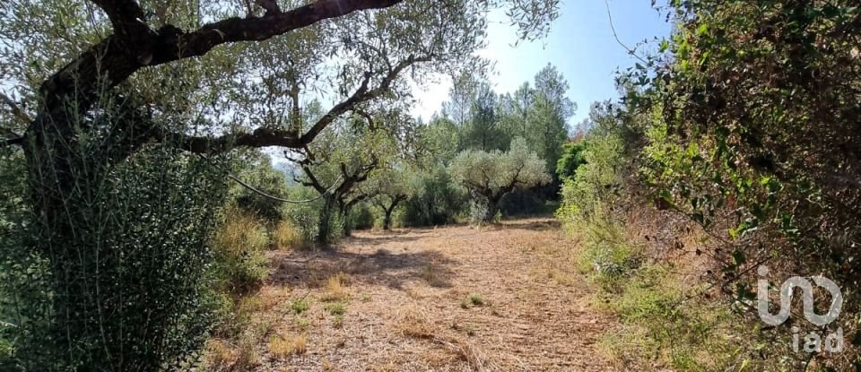 Land of 6,327 m² in Tivissa (43746)