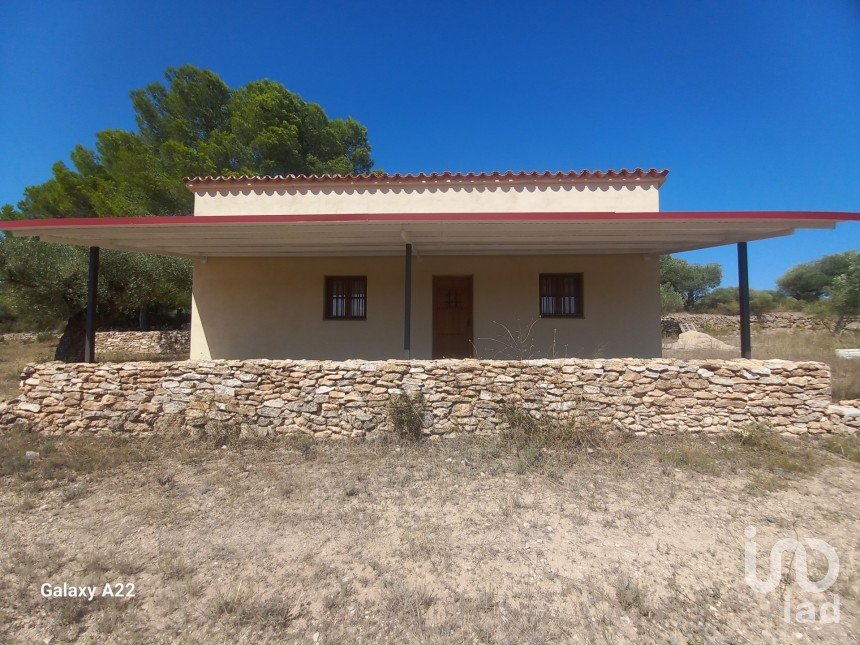 Land of 46,791 m² in Ginestar (43748)