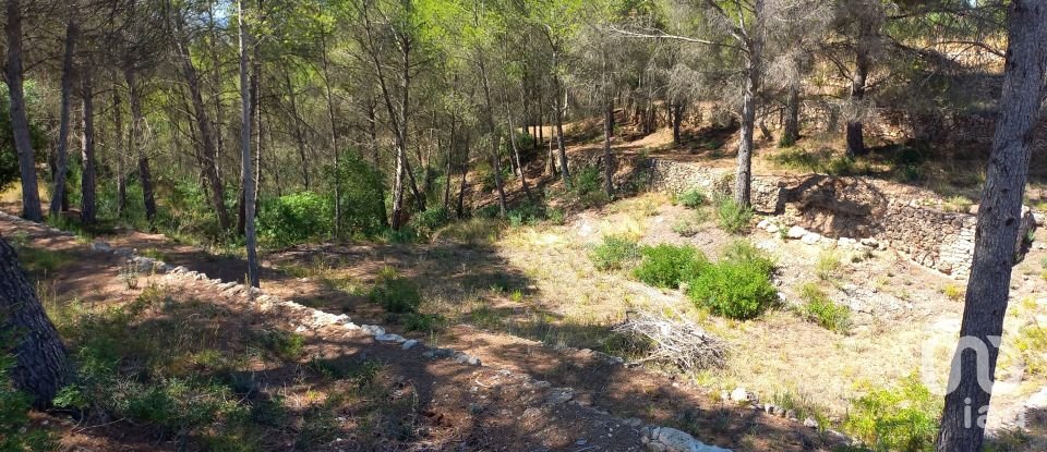 Land of 46,791 m² in Ginestar (43748)