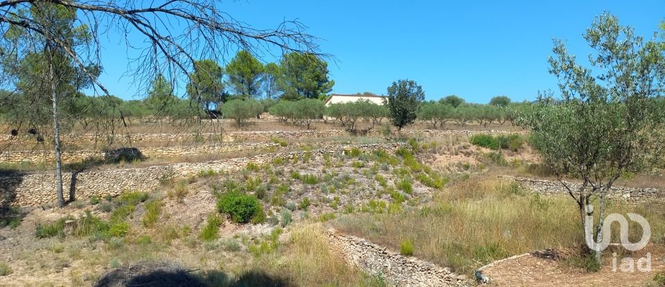 Land of 46,791 m² in Ginestar (43748)