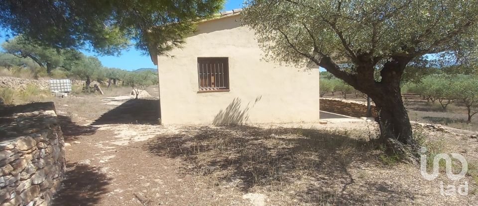 Land of 46,791 m² in Ginestar (43748)