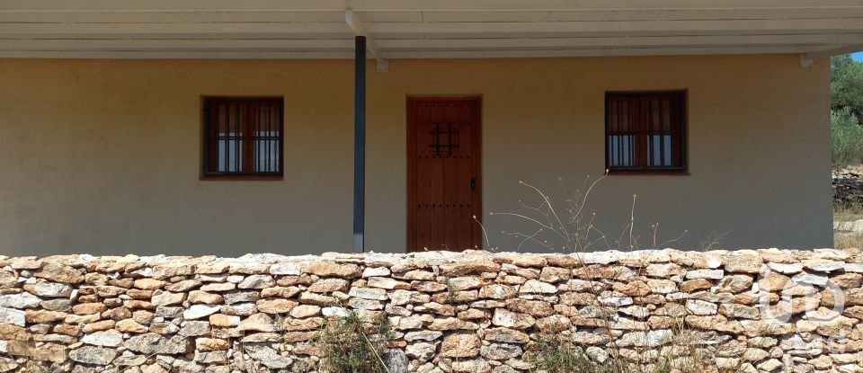 Land of 46,791 m² in Ginestar (43748)