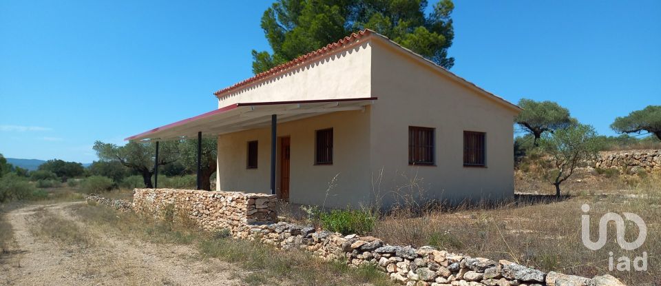 Land of 46,791 m² in Ginestar (43748)