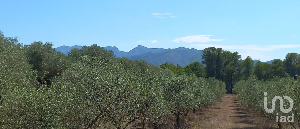 Land of 46,791 m² in Ginestar (43748)