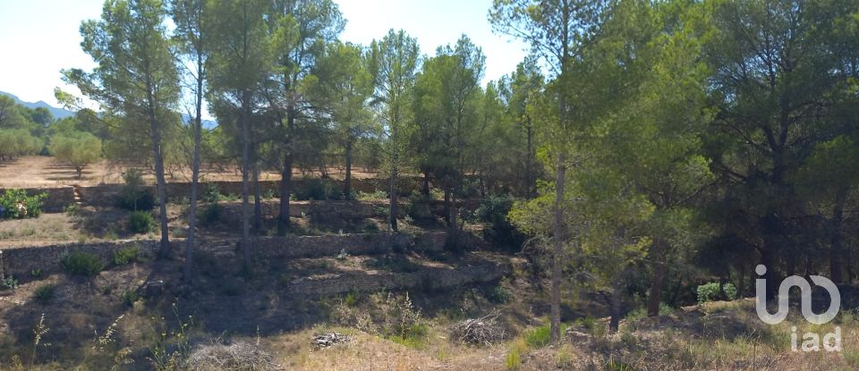 Land of 46,791 m² in Ginestar (43748)