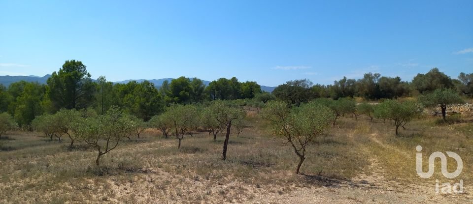 Land of 46,791 m² in Ginestar (43748)