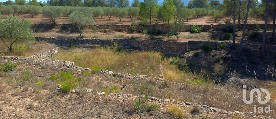 Land of 46,791 m² in Ginestar (43748)