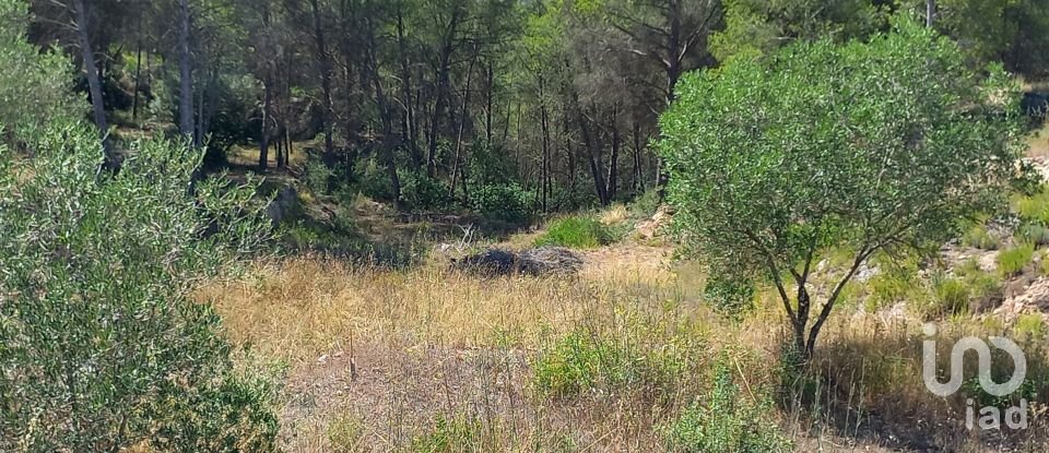 Land of 46,791 m² in Ginestar (43748)