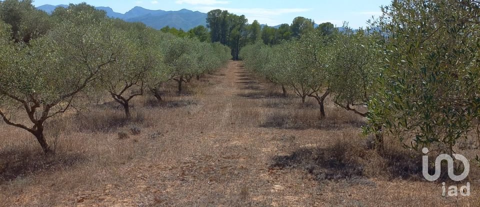 Land of 46,791 m² in Ginestar (43748)
