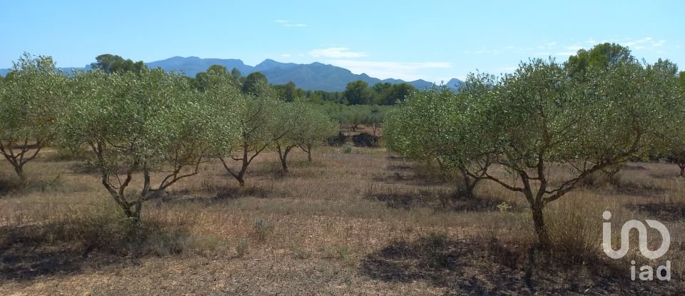Land of 46,791 m² in Ginestar (43748)