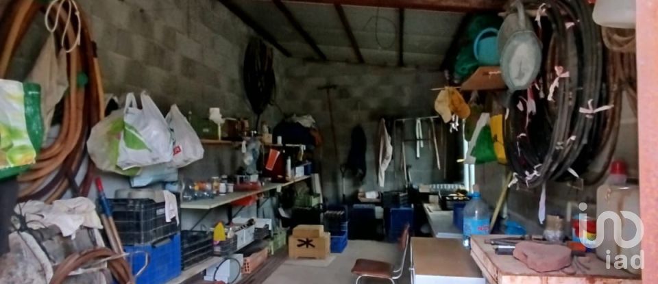 Terreny agrícola de 2.608 m² a Ginestar (43748)