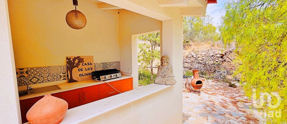 Maison 3 chambres de 191 m² à El/Hondon de Las Nieves Fondo de Les Neus (03688)