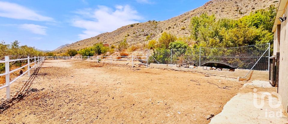 Maison 3 chambres de 191 m² à El/Hondon de Las Nieves Fondo de Les Neus (03688)