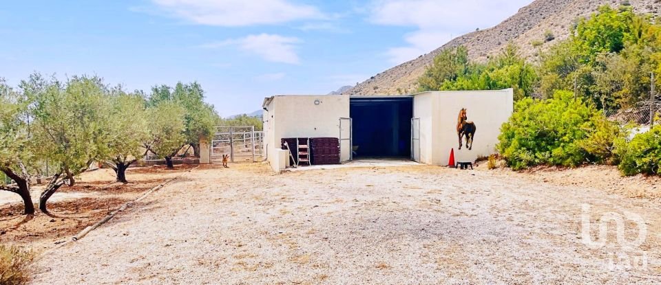 Maison 3 chambres de 191 m² à El/Hondon de Las Nieves Fondo de Les Neus (03688)