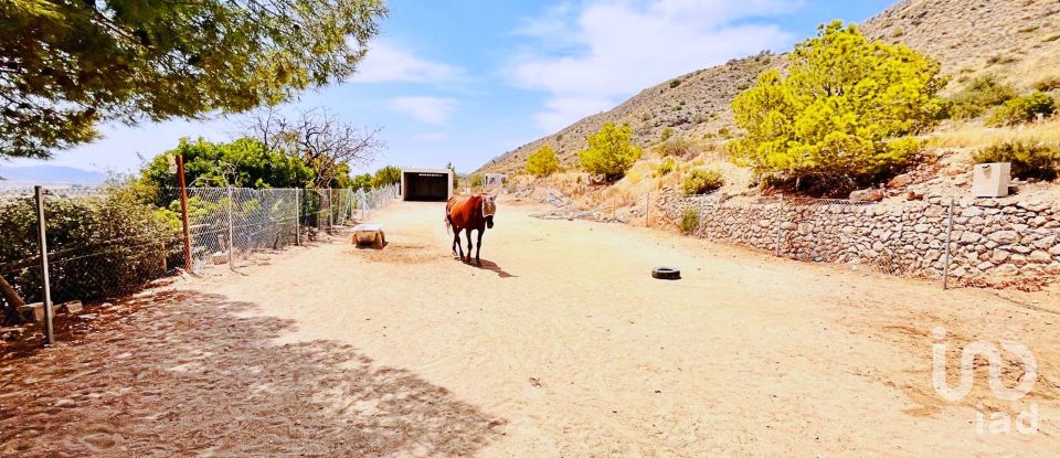 Maison 3 chambres de 191 m² à El/Hondon de Las Nieves Fondo de Les Neus (03688)