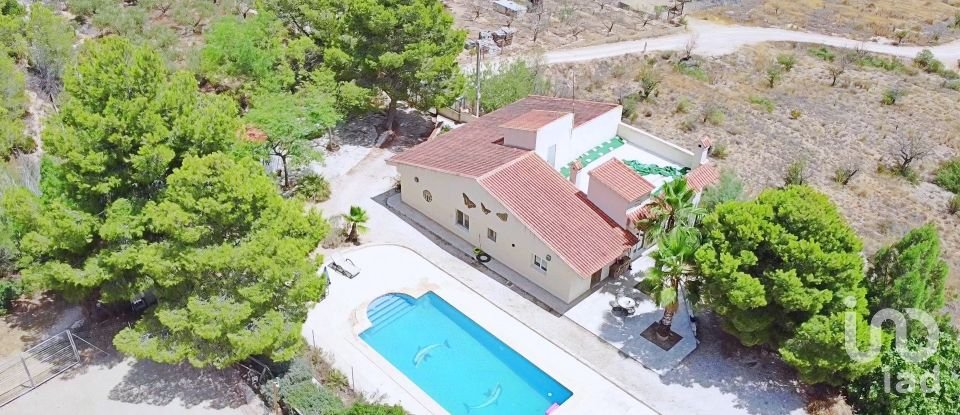 Maison 3 chambres de 191 m² à El/Hondon de Las Nieves Fondo de Les Neus (03688)