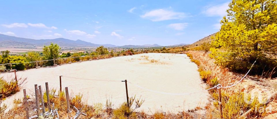 Maison 3 chambres de 191 m² à El/Hondon de Las Nieves Fondo de Les Neus (03688)