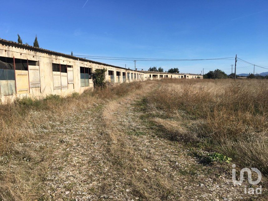 Terrain de 0 m² à Ulldecona (43550)