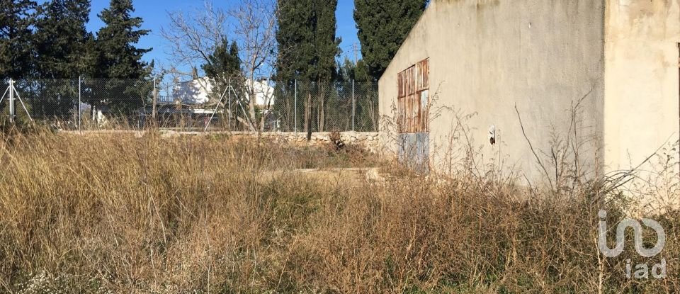 Terrain de 0 m² à Ulldecona (43550)