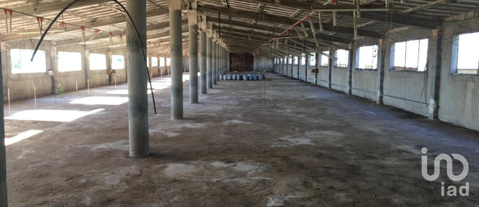 Terrain de 0 m² à Ulldecona (43550)