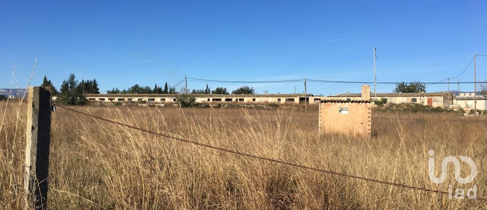 Terrain de 0 m² à Ulldecona (43550)