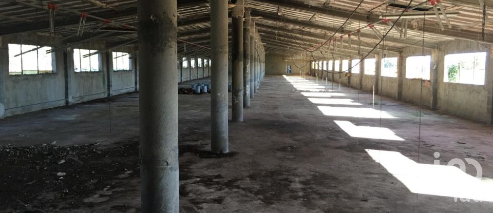 Terrain de 0 m² à Ulldecona (43550)