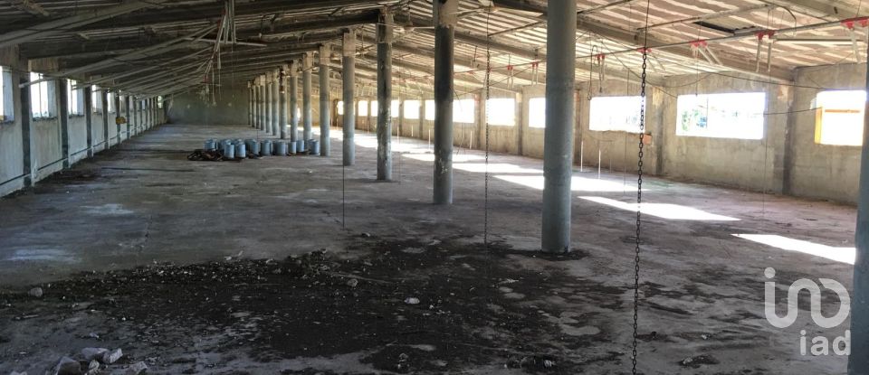 Terrain de 0 m² à Ulldecona (43550)