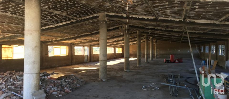 Terrain de 0 m² à Ulldecona (43550)