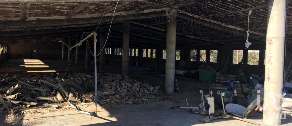 Terrain de 0 m² à Ulldecona (43550)