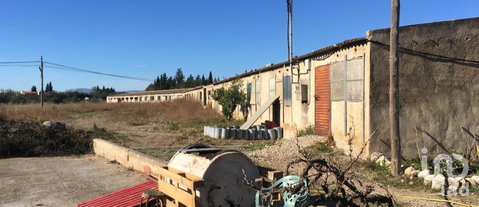 Terrain de 0 m² à Ulldecona (43550)