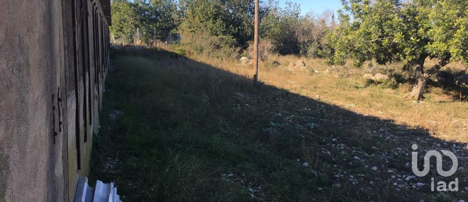 Terrain de 0 m² à Ulldecona (43550)