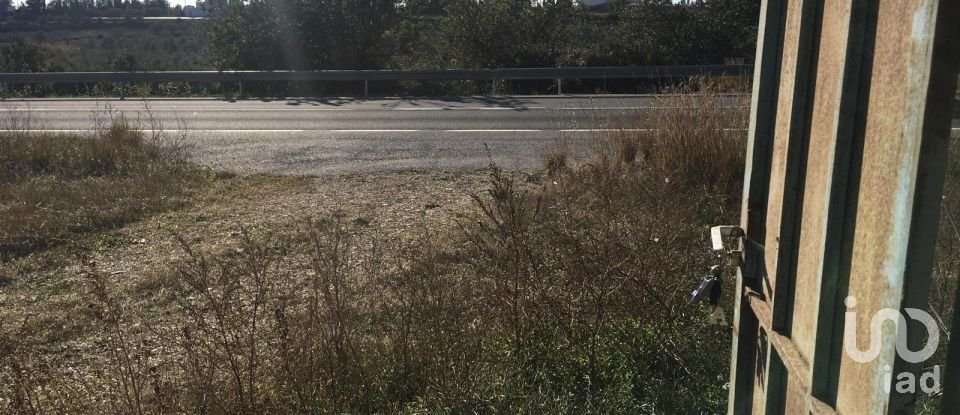 Terrain de 0 m² à Ulldecona (43550)