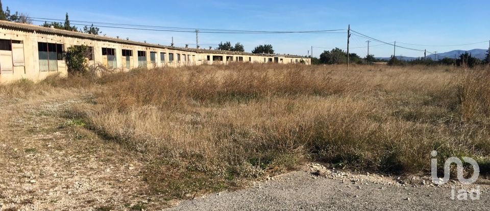 Terrain de 0 m² à Ulldecona (43550)