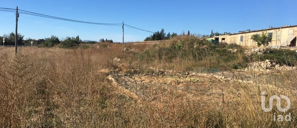 Terrain de 0 m² à Ulldecona (43550)