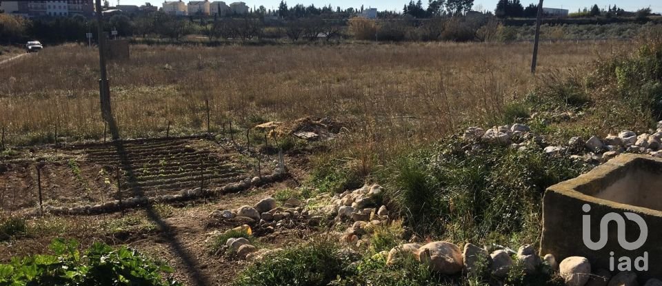 Terrain de 0 m² à Ulldecona (43550)