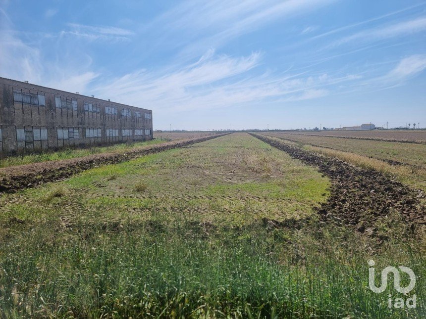 Land of 4,213 m² in Deltebre (43580)