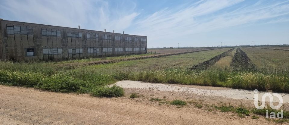 Land of 4,213 m² in Deltebre (43580)