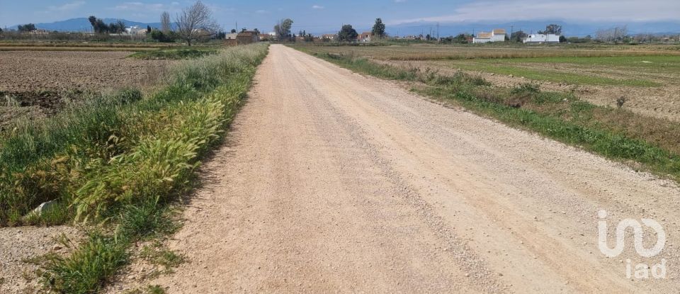 Land of 4,213 m² in Deltebre (43580)