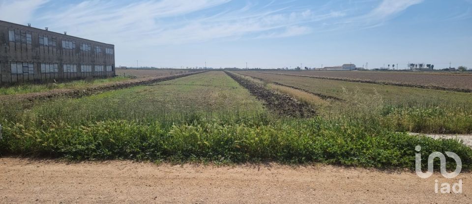 Land of 4,213 m² in Deltebre (43580)