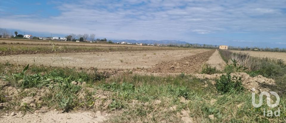 Land of 4,213 m² in Deltebre (43580)