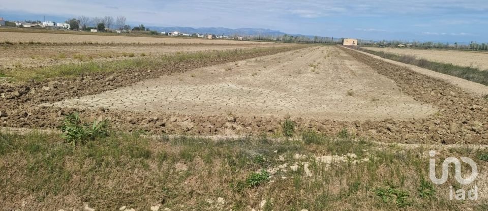 Land of 4,213 m² in Deltebre (43580)