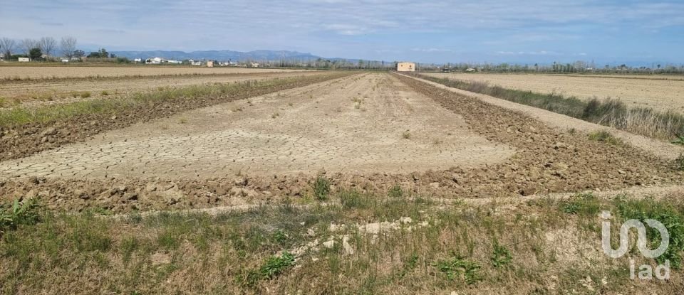 Land of 4,213 m² in Deltebre (43580)