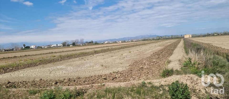 Land of 4,213 m² in Deltebre (43580)