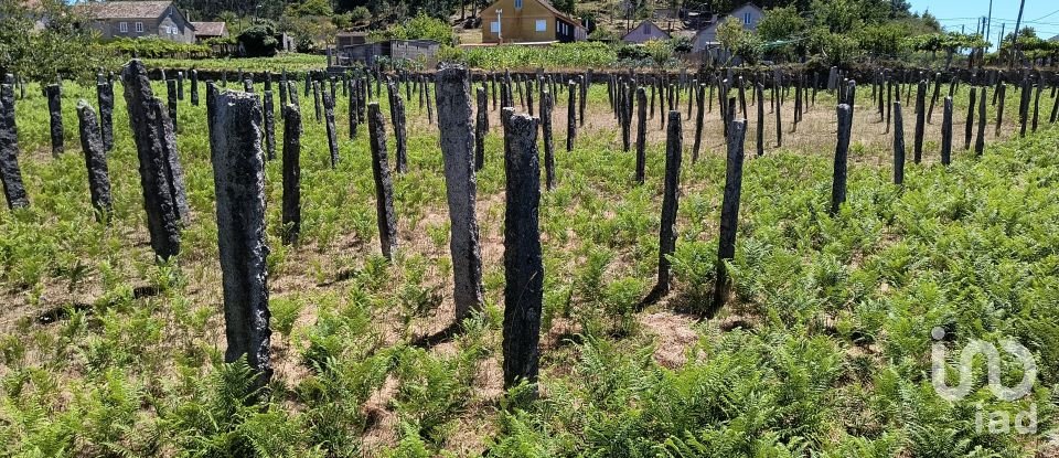 Mansion 3 bedrooms of 400 m² in Vilasobroso (36879)