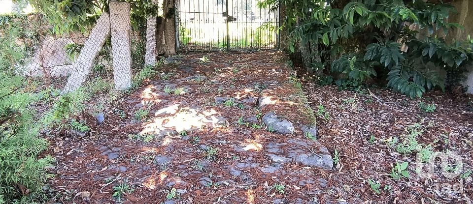 Mansion 3 bedrooms of 400 m² in Vilasobroso (36879)